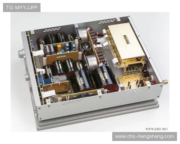 欧博代理平台官网入口：官方入口的安全性分析与用户保护措施